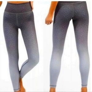 ZYIA Active 6-8 Leopard Gray Ombre Light n tight